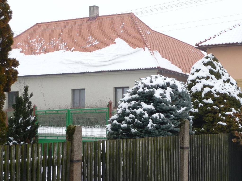 Třibřichy